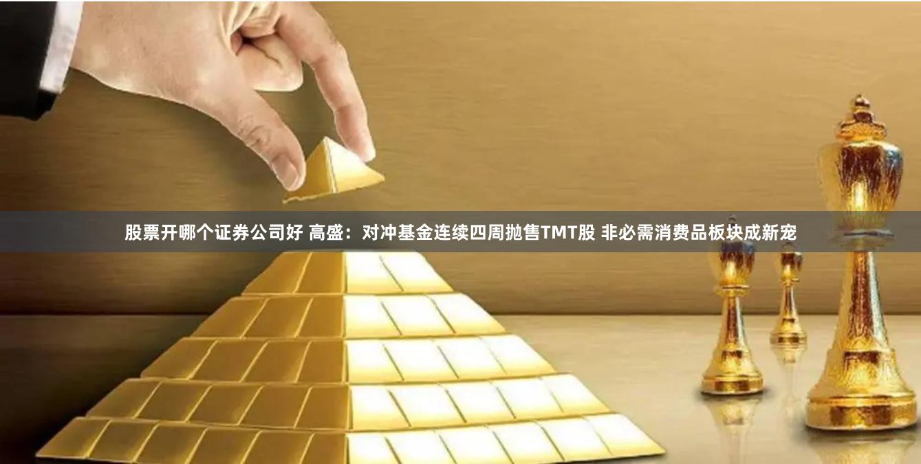 股票开哪个证券公司好 高盛：对冲基金连续四周抛售TMT股 非必需消费品板块成新宠