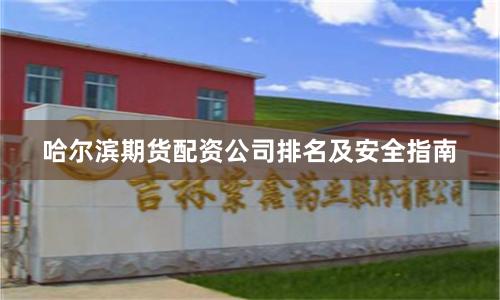 哈尔滨期货配资公司排名及安全指南